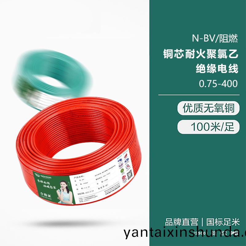 N-BV/阻燃(ran) 銅芯耐火(huo)聚氯(lv)乙絕(jue)緣電(dian)線(xian)0.75-400