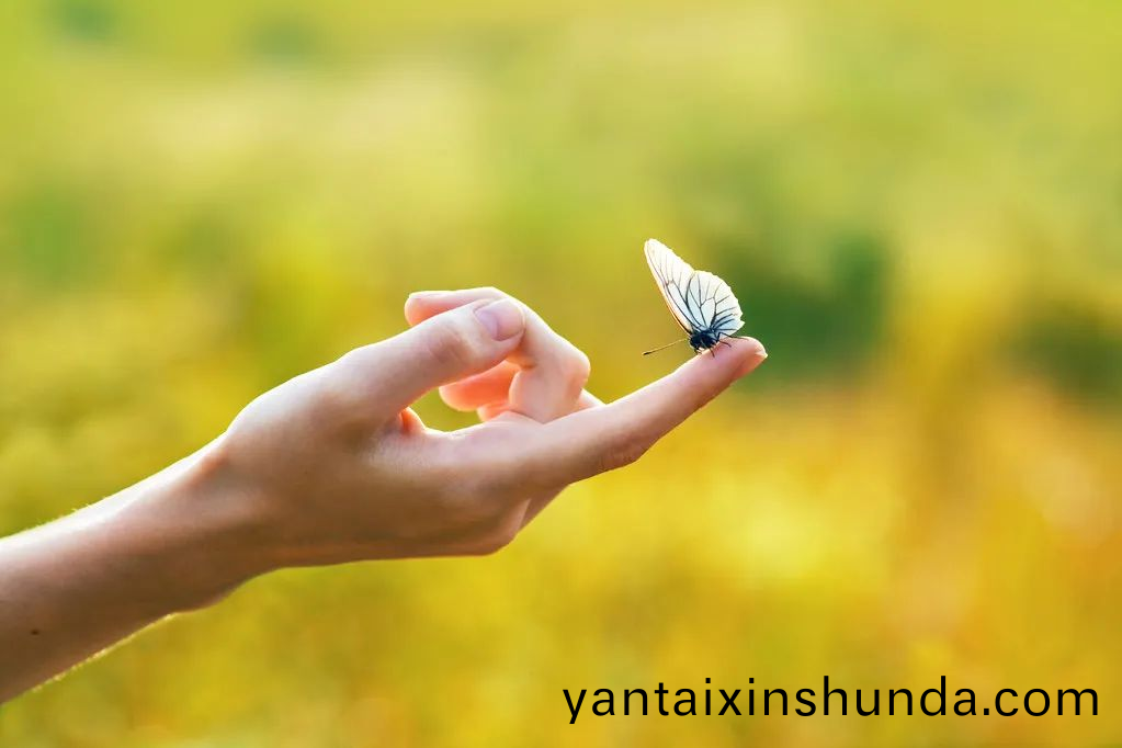 夏(xia)至(zhi)文案，最(zui)美(mei)皆(jie)在此(ci)刻
