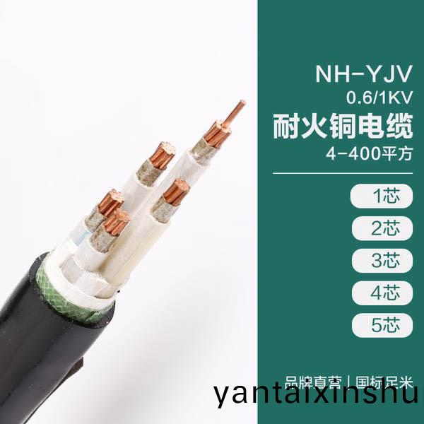 NH-YJV 0.6/1KV耐火銅(tong)電(dian)纜(lan) 4-400平(ping)方