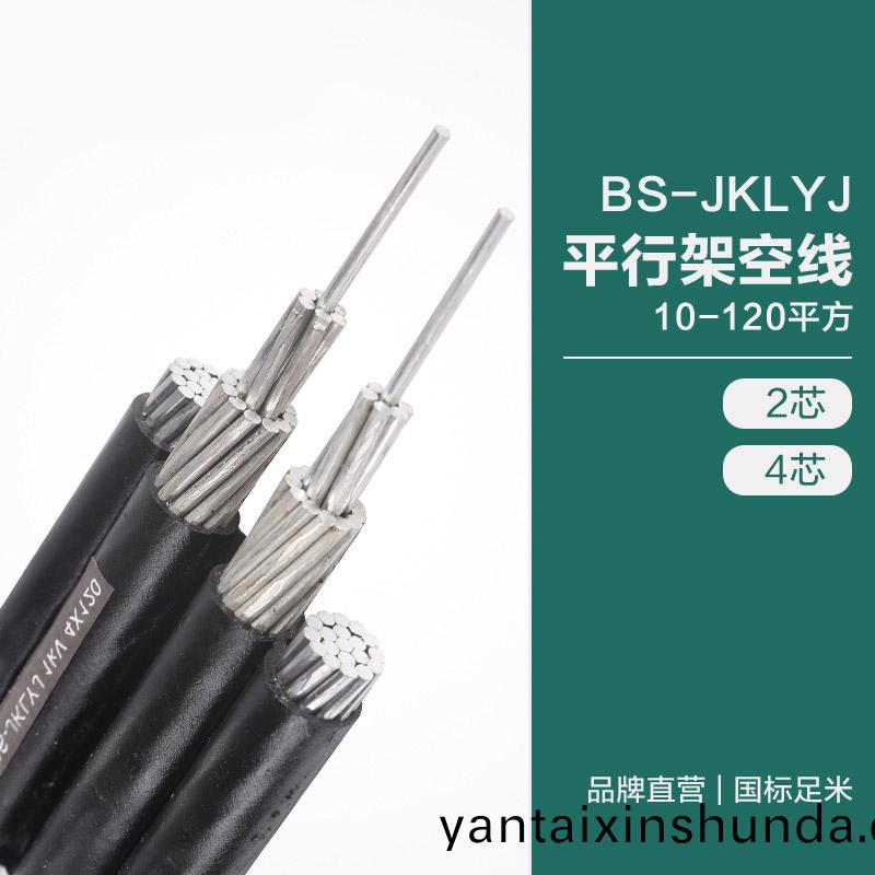BS-JKLYJ平行架(jia)空線(xian)10-120平方