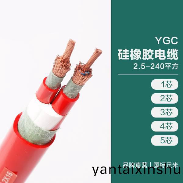 YGC 硅(gui)橡膠電纜