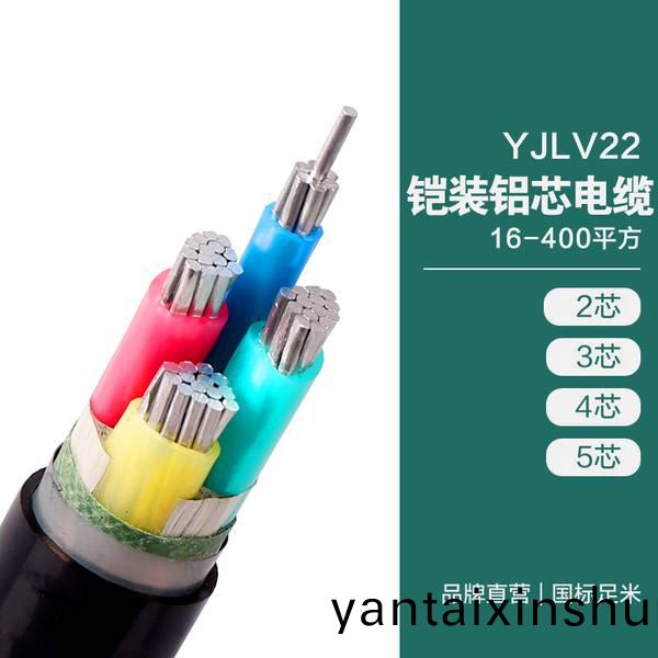 YJLV22鎧裝(zhuang)鋁芯(xin)電(dian)纜(lan)16-400平方(fang)