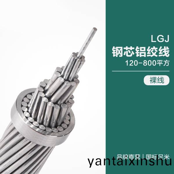 LGJ鋼芯鋁(lv)絞線(xian)120-800平(ping)方(fang)