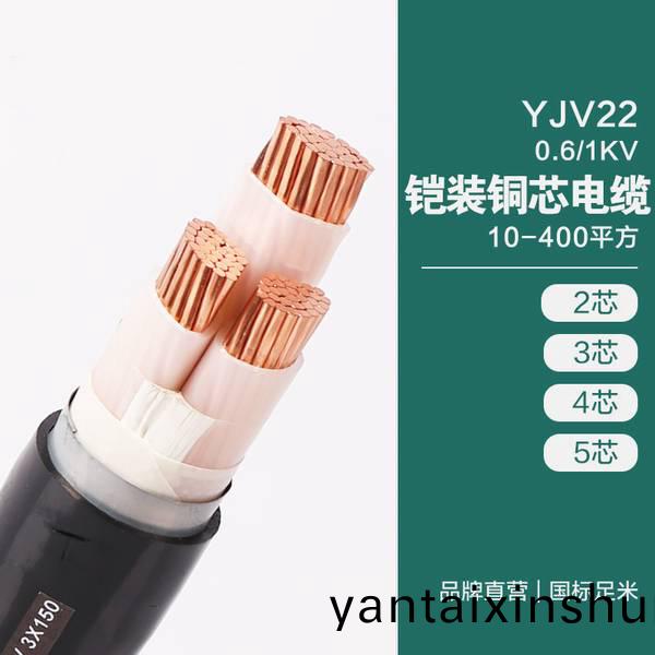 YJV22 0.6/1KV 鎧(kai)裝(zhuang)銅芯(xin)電(dian)纜 10-400平(ping)方(fang)